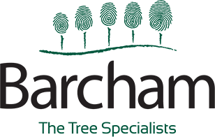 Barcham logo